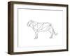 Poly Lion-Pam Varacek-Framed Art Print