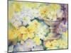 Polyanthus at Hurst-Karen Armitage-Mounted Giclee Print