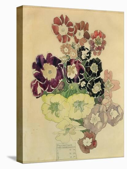Polyanthus, Walberswick, 1915-Charles Rennie Mackintosh-Stretched Canvas