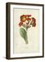 Polyanthus-Frederick Edward Hulme-Framed Giclee Print