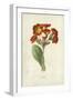 Polyanthus-Frederick Edward Hulme-Framed Giclee Print