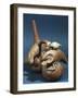 Polychrome Terracotta Vessel in Shape of Whistle with Crayfish Figures-null-Framed Giclee Print