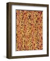 Polyester and Cotton Cloth-Micro Discovery-Framed Photographic Print