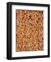 Polyester and Cotton Cloth-Micro Discovery-Framed Photographic Print
