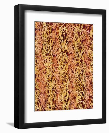 Polyester and Cotton Cloth-Micro Discovery-Framed Photographic Print