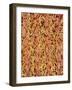 Polyester and Cotton Cloth-Micro Discovery-Framed Photographic Print