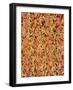 Polyester and Cotton Cloth-Micro Discovery-Framed Photographic Print