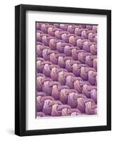 Polyester and Nylon Cloth of Woman's Bodybriefer-Micro Discovery-Framed Premium Photographic Print