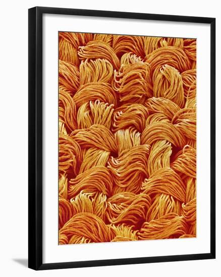 Polyester Cloth from Women's Underwear-Micro Discovery-Framed Photographic Print