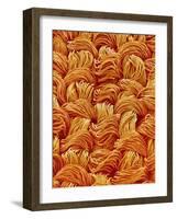 Polyester Cloth from Women's Underwear-Micro Discovery-Framed Photographic Print