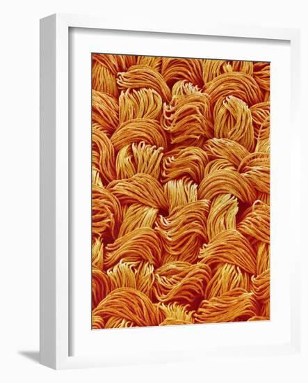 Polyester Cloth from Women's Underwear-Micro Discovery-Framed Photographic Print