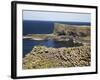 Polygonal Basalt, Staffa, Off Isle of Mull, Scotland-David Wall-Framed Photographic Print