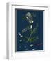 Polygonum Mite; Lax-Flowered Persicaria-null-Framed Giclee Print