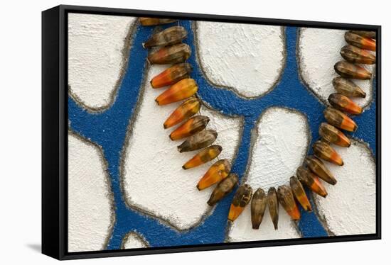 Polynesia, Kingdom of Tonga, Nuku'alofa. Details of a seed necklace left on a grave site-Jaynes Gallery-Framed Stretched Canvas