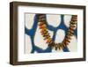 Polynesia, Kingdom of Tonga, Nuku'alofa. Details of a seed necklace left on a grave site-Jaynes Gallery-Framed Photographic Print