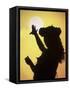 Polynesian Dancer, Ahu Tahai, Easter Island-Angelo Cavalli-Framed Stretched Canvas