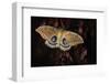 Polyphemus-Jimmy Hoffman-Framed Photographic Print