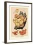 Polyporus Sulphureus-William Hamilton Gibson-Framed Art Print