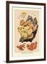 Polyporus Sulphureus-William Hamilton Gibson-Framed Art Print