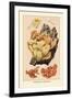 Polyporus Sulphureus-William Hamilton Gibson-Framed Art Print