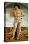 Polyptych of Saint Vincent Ferrier: Saint Sebastian (Polyptych of St Vincent Ferrer: St Sebastian)-Giovanni Bellini-Stretched Canvas