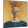 Polyptych of the Misericordia (Virgin of the Mercy)-Piero della Francesca-Mounted Art Print