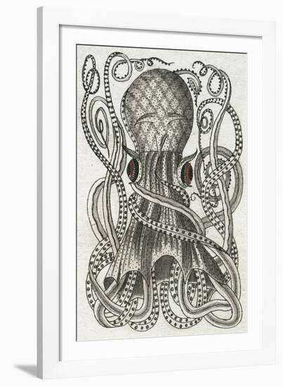 Polypus I-Chris Dunker-Framed Giclee Print