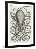 Polypus II-Chris Dunker-Framed Giclee Print