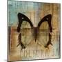 Polyurabutterfly I-Patricia Pinto-Mounted Art Print