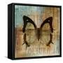 Polyurabutterfly I-Patricia Pinto-Framed Stretched Canvas