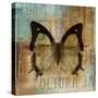 Polyurabutterfly I-Patricia Pinto-Stretched Canvas