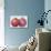 Pomegranate, 1995-Margaret Ann Eden-Giclee Print displayed on a wall