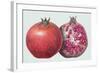 Pomegranate, 1995-Margaret Ann Eden-Framed Giclee Print