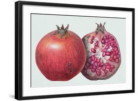 Pomegranate, 1995-Margaret Ann Eden-Framed Giclee Print