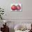 Pomegranate, 1995-Margaret Ann Eden-Giclee Print displayed on a wall