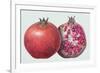 Pomegranate, 1995-Margaret Ann Eden-Framed Giclee Print