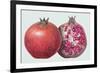 Pomegranate, 1995-Margaret Ann Eden-Framed Giclee Print