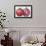 Pomegranate, 1995-Margaret Ann Eden-Framed Giclee Print displayed on a wall