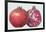 Pomegranate, 1995-Margaret Ann Eden-Framed Giclee Print