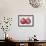 Pomegranate, 1995-Margaret Ann Eden-Framed Premium Giclee Print displayed on a wall