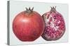 Pomegranate, 1995-Margaret Ann Eden-Stretched Canvas