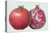 Pomegranate, 1995-Margaret Ann Eden-Stretched Canvas