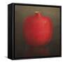 Pomegranate, 2010-Lincoln Seligman-Framed Stretched Canvas