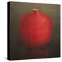 Pomegranate, 2010-Lincoln Seligman-Stretched Canvas