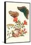 Pomegranate and Butterflies-Maria Sibylla Merian-Framed Stretched Canvas