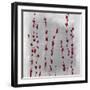 Pomegranate Blossom-Joshua Schicker-Framed Giclee Print