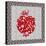 Pomegranate Charm-Effie Zafiropoulou-Stretched Canvas