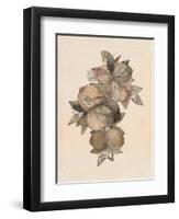 Pomegranate Fruit, 1867-null-Framed Giclee Print