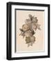 Pomegranate Fruit, 1867-null-Framed Giclee Print