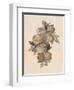 Pomegranate Fruit, 1867-null-Framed Giclee Print